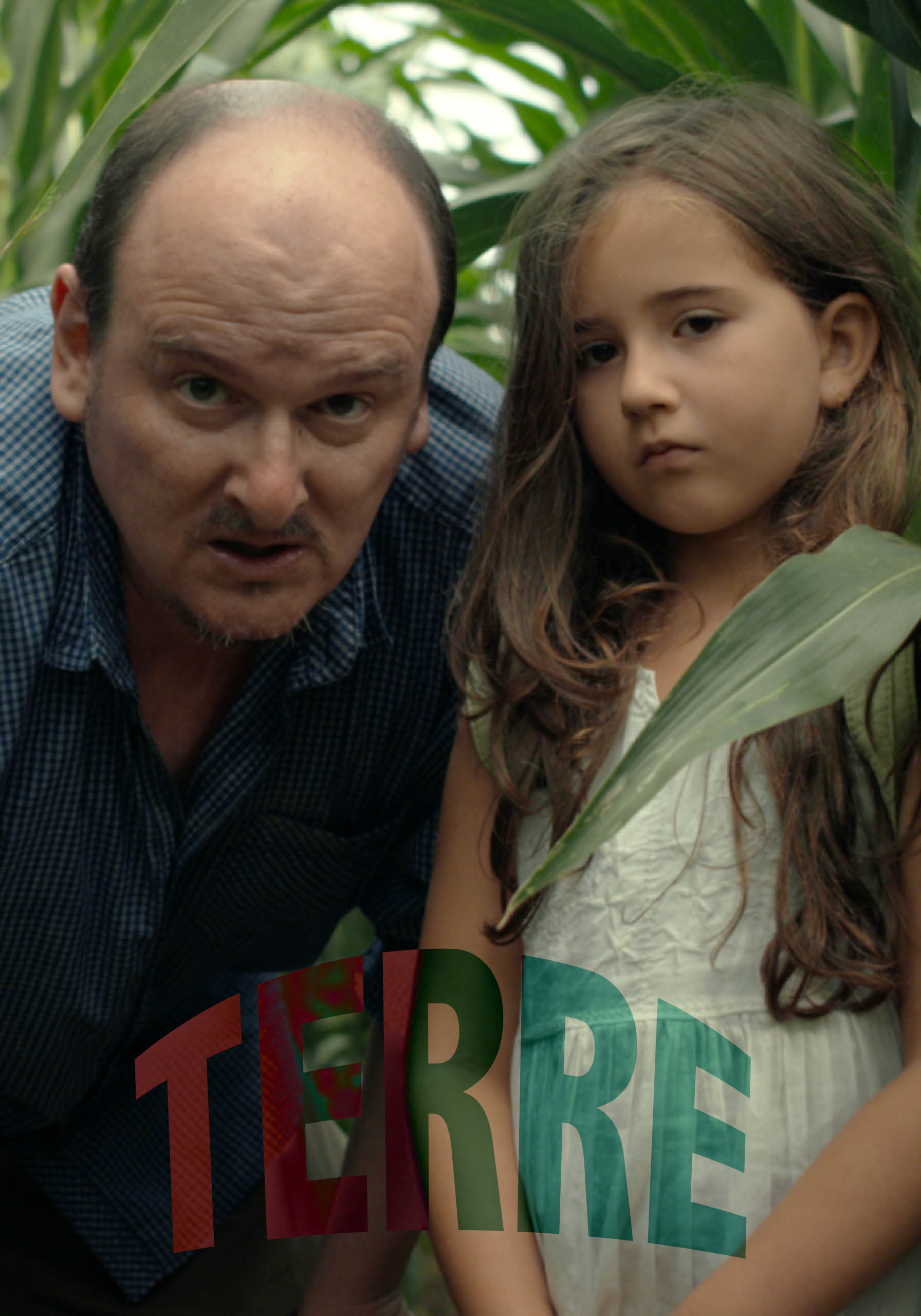 1. Affiche online Terre